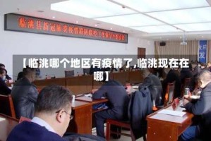 【临洮哪个地区有疫情了,临洮现在在哪】