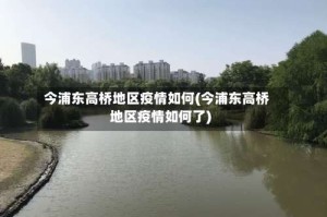 今浦东高桥地区疫情如何(今浦东高桥地区疫情如何了)