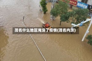 茂名什么地区淹没了疫情(茂名内涝)