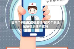 国内个别地区疫情反弹/国内个别地区疫情反弹严重吗