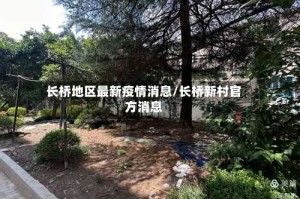长桥地区最新疫情消息/长桥新村官方消息
