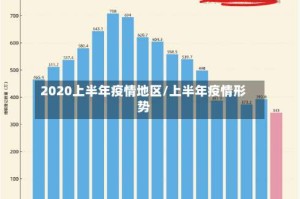 2020上半年疫情地区/上半年疫情形势
