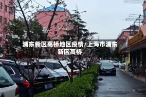 浦东新区高桥地区疫情/上海市浦东新区高桥