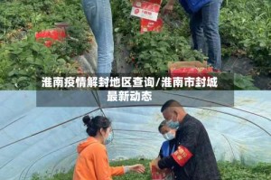 淮南疫情解封地区查询/淮南市封城最新动态