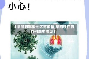 【阜阳有哪些地区有疫情,阜阳现在有几例新型肺炎】