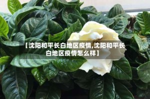 【沈阳和平长白地区疫情,沈阳和平长白地区疫情怎么样】