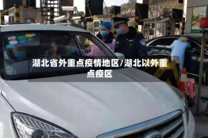 湖北省外重点疫情地区/湖北以外重点疫区