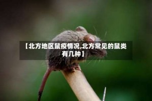 【北方地区鼠疫情况,北方常见的鼠类有几种】