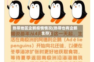 热带地区企鹅疫情情况(热带也有企鹅生存)