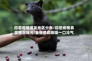 印尼疫情爆发地区分布/印尼疫情真实情况曝光!全世界都倒吸一口冷气