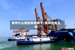 黄骅什么地区有疫情了/黄骅是疫区吗