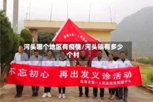 河头哪个地区有疫情/河头镇有多少个村