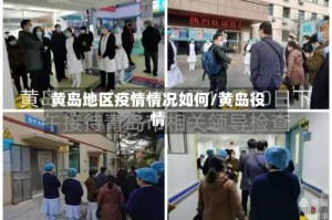 黄岛地区疫情情况如何/黄岛役情