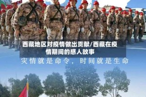 西藏地区对疫情做出贡献/西藏在疫情期间的感人故事