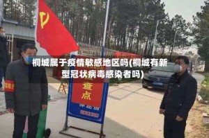 桐城属于疫情敏感地区吗(桐城有新型冠状病毒感染者吗)