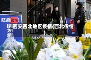 西安西北地区疫情(西北役情)