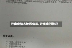 云南疫情各地区病历/云南病例情况