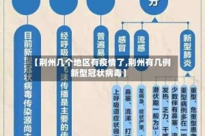 【荆州几个地区有疫情了,荆州有几例新型冠状病毒】