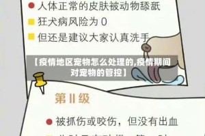 【疫情地区宠物怎么处理的,疫情期间对宠物的管控】