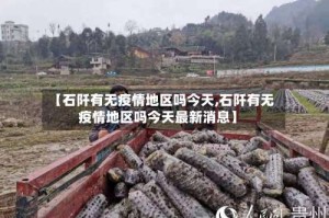 【石阡有无疫情地区吗今天,石阡有无疫情地区吗今天最新消息】