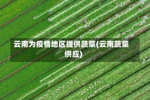 云南为疫情地区提供蔬菜(云南蔬菜供应)