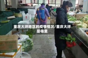 重庆大坪地区的疫情情况/重庆大坪是哪里