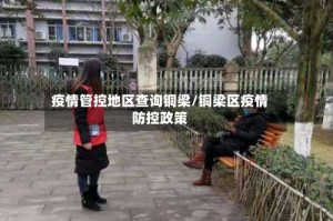 疫情管控地区查询铜梁/铜梁区疫情防控政策