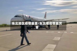 东北地区疫情最重/东北哪疫情最厉害