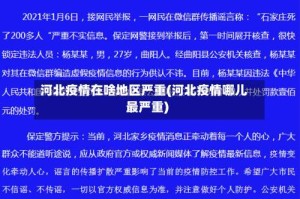河北疫情在啥地区严重(河北疫情哪儿最严重)