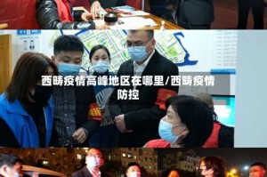 西畴疫情高峰地区在哪里/西畴疫情防控