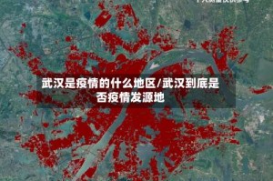 武汉是疫情的什么地区/武汉到底是否疫情发源地