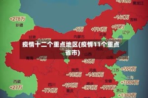 疫情十二个重点地区(疫情11个重点省市)