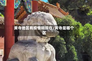 黄寺地区有疫情吗现在/黄寺是哪个区