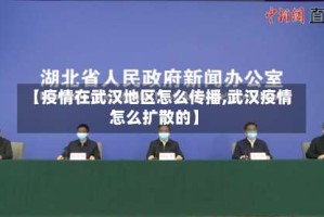 【疫情在武汉地区怎么传播,武汉疫情怎么扩散的】