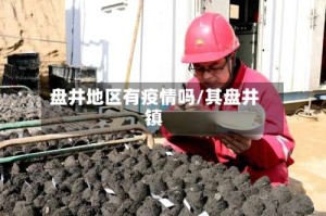 盘井地区有疫情吗/其盘井镇