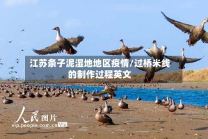 江苏条子泥湿地地区疫情/过桥米线的制作过程英文