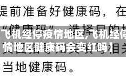 【坐飞机经停疫情地区,飞机经停疫情地区健康码会变红吗】