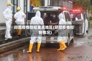 印尼疫情防控重点地区(印尼疫情控制情况)