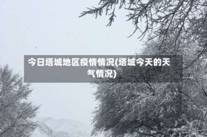 今日塔城地区疫情情况(塔城今天的天气情况)
