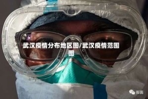 武汉疫情分布地区图/武汉疫情范围图