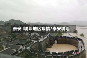 泰安堽城坝地区疫情/泰安城墙