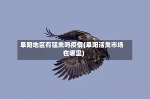 阜阳地区有猛禽吗疫情(阜阳活禽市场在哪里)