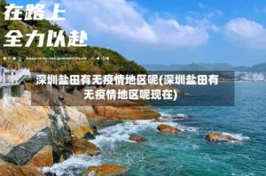 深圳盐田有无疫情地区呢(深圳盐田有无疫情地区呢现在)