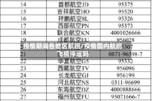 疫情期间各地区航班/疫情国内航班飞机停运吗