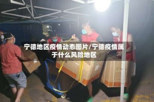 宁德地区疫情动态图片/宁德疫情属于什么风险地区