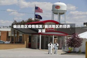 偏远地区疫情爆发/偏远地区的经济发展