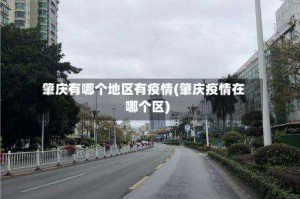 肇庆有哪个地区有疫情(肇庆疫情在哪个区)