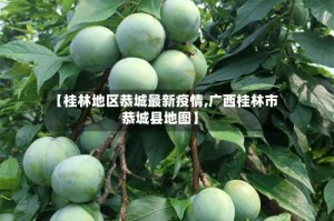 【桂林地区恭城最新疫情,广西桂林市恭城县地图】