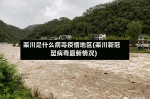 栾川是什么病毒疫情地区(栾川新冠型病毒最新情况)