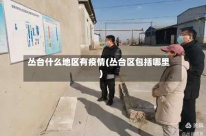丛台什么地区有疫情(丛台区包括哪里)